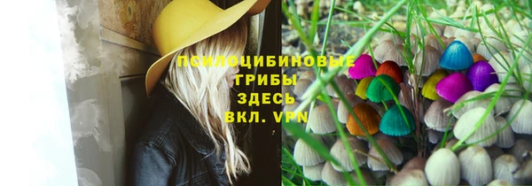 гидропоника Алзамай