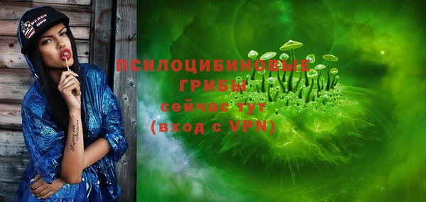 твердый Алексин